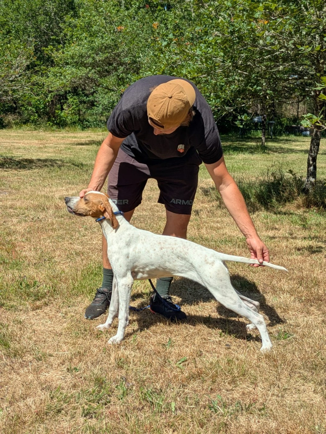 Jeune femelle disponible